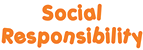 social responsibility