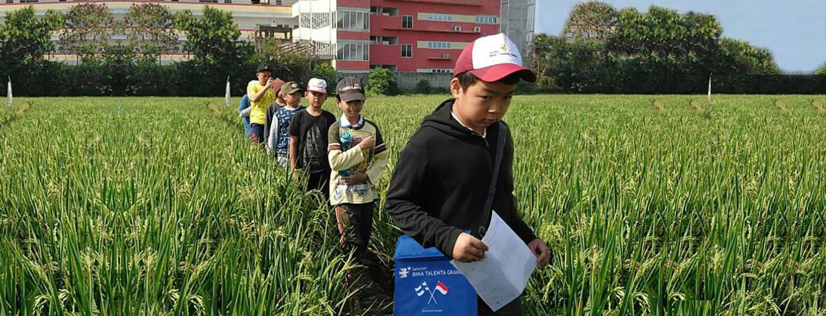 Bina Talenta Graha Kunjungan ke Sawah